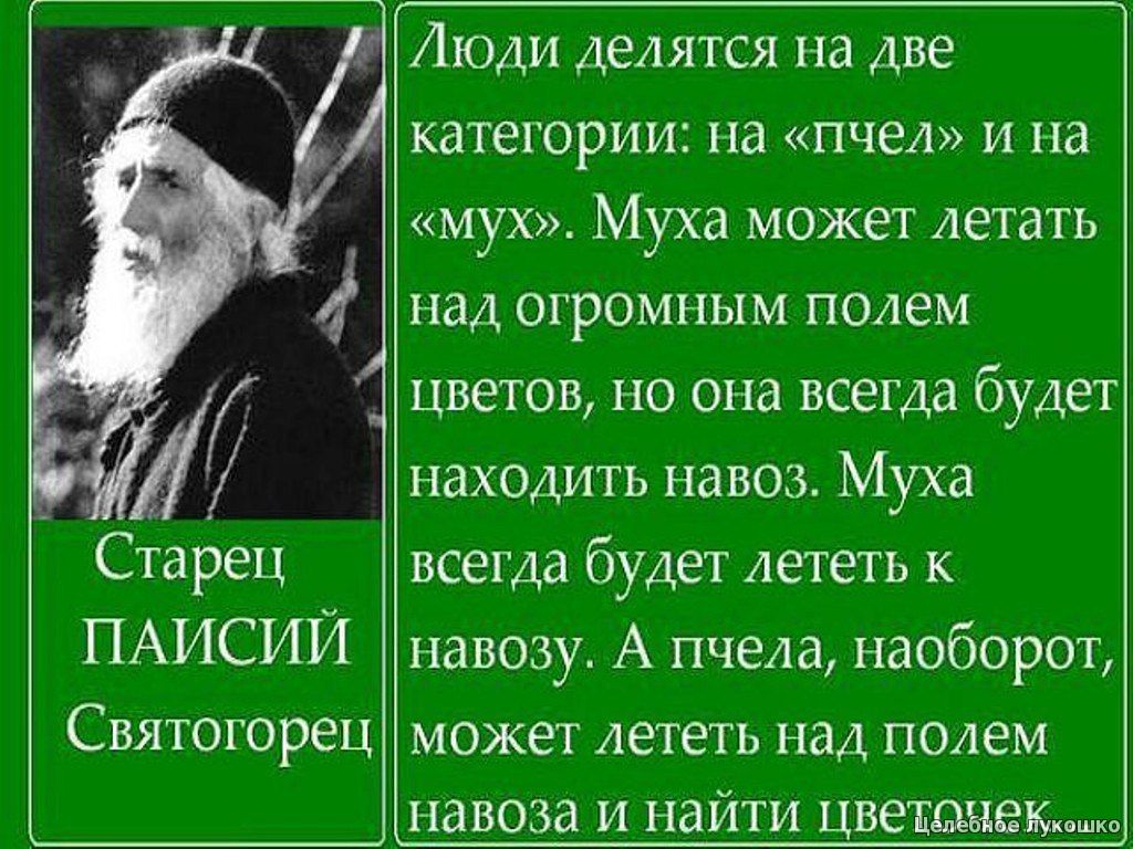 Из одной мухи афоризмы Из одной мухи афоризмы